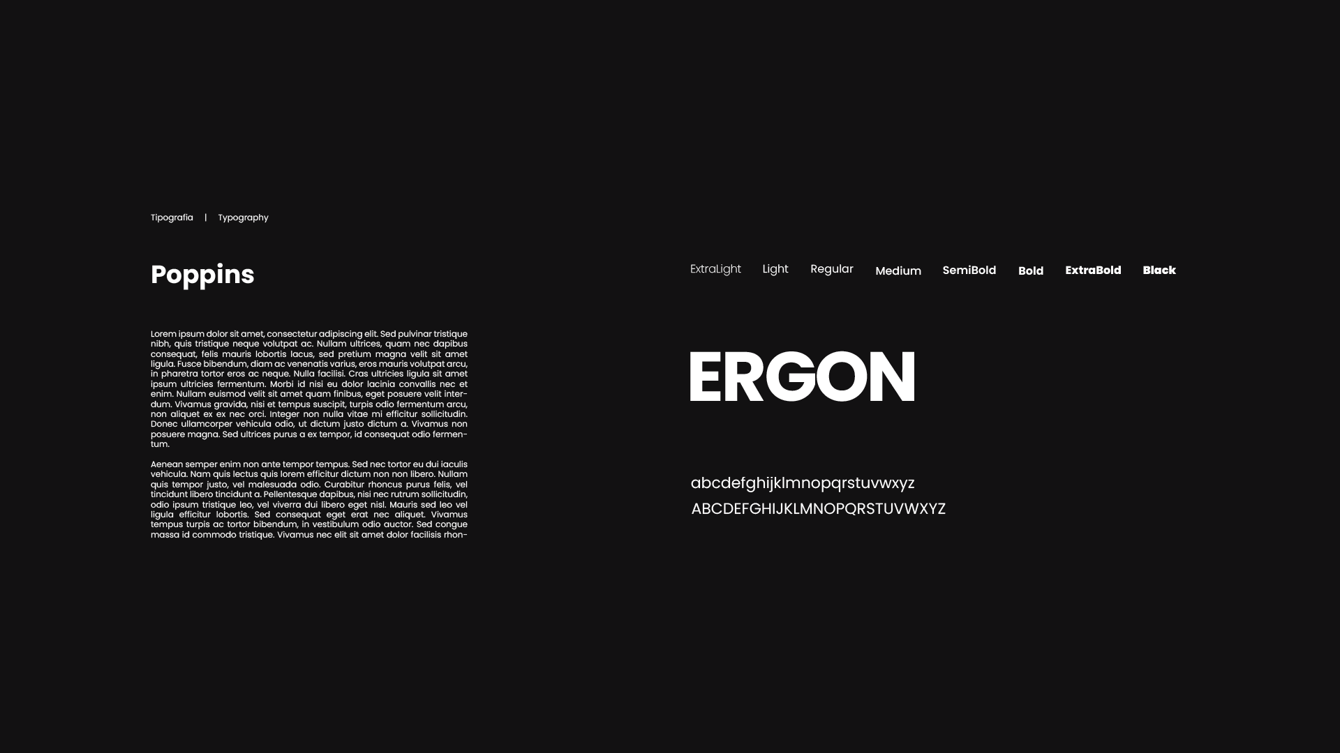 ergon_06